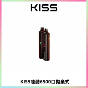 KIS5WAGOO哇酷6500口拋棄式 | 自由混搭雙口味 | 雙芯組合
